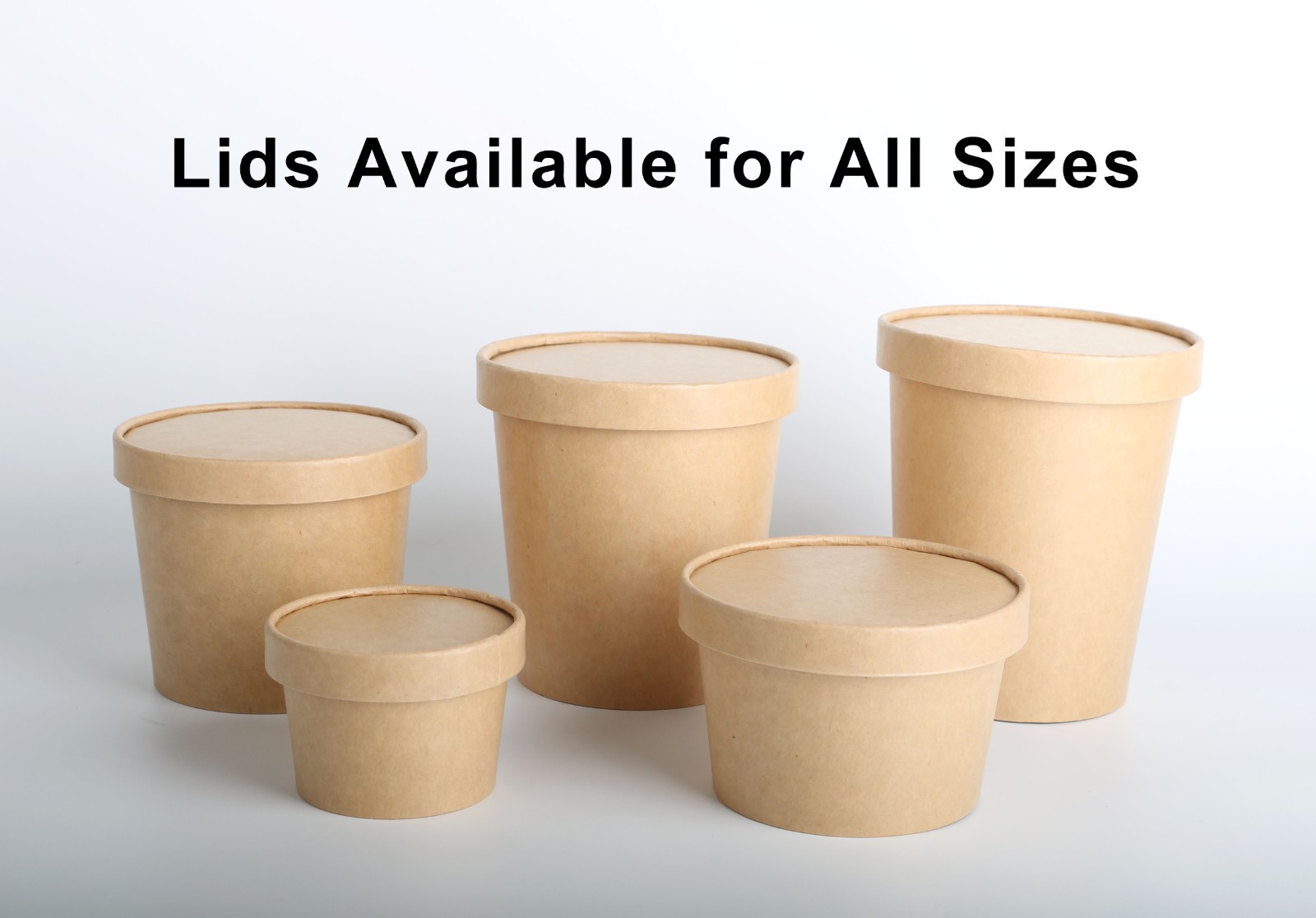 disposable ice cream bowls